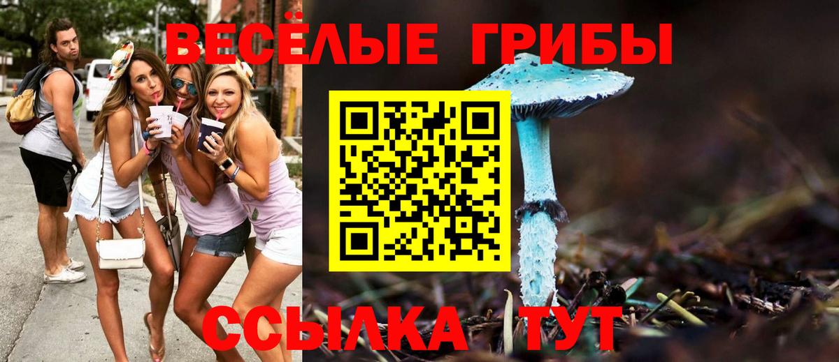 Галлюциногенные грибы мухоморы  Вход с VPN  Пятигорск  магазин  наркотиков  Галлюциногенные грибы MAGIC MUSHROOMS 