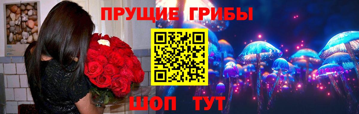 купить закладку  Пятигорск  Галлюциногенные грибы мухоморы 