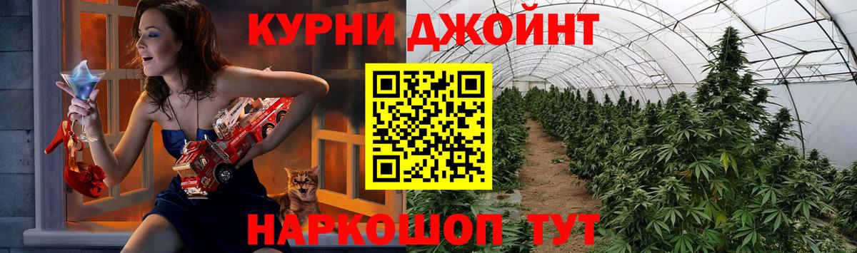 Бошки марихуана OG Kush Пятигорск