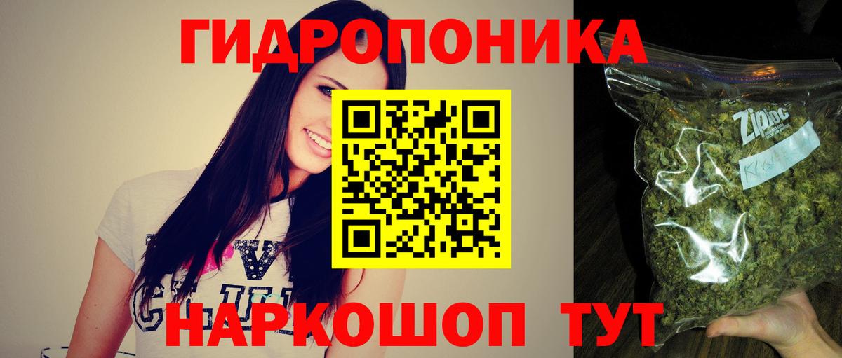 Пятигорск  Каннабис гибрид  Вход с VPN  Каннабис планчик  Марихуана OG Kush 